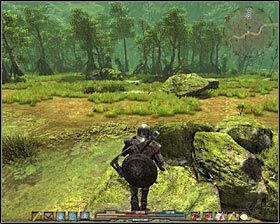 Zleceniodawca: Leboras [Bagna - Czarna Toń ] - Bagna (1) | Zadania poboczne w Arcania Gothic 4 - Arcania: Gothic 4 - poradnik do gry