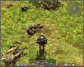 Docelowo musisz dotrzeć do miejsca, w którym znajdują się topielce #1 (M7A, 3) - Bagna (1) | Zadania poboczne w Arcania Gothic 4 - Arcania: Gothic 4 - poradnik do gry