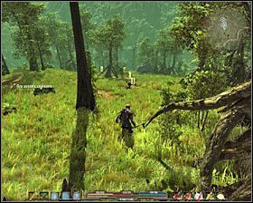 4 - Bagna (1) | Zadania poboczne w Arcania Gothic 4 - Arcania: Gothic 4 - poradnik do gry