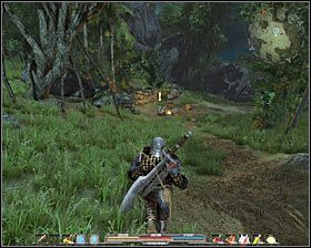 Należy się tu oczywiście pilnować, gdyż w trakcie eksploracji całej dżungli będziesz staczał walki z różnymi potworami #1 - Czarne Jary i dżungla (1) | Zadania poboczne w Arcania Gothic 4 - Arcania: Gothic 4 - poradnik do gry