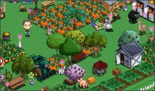Na farmie wszystko pięknie dojrzewa - Sadzonki | Uprawy dla zaawansowanych FarmVille - FarmVille - poradnik do gry