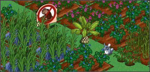 Zew natury - Sadzonki | Uprawy dla zaawansowanych FarmVille - FarmVille - poradnik do gry