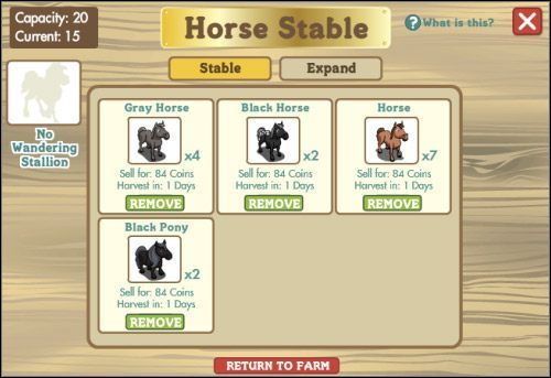 Wnętrze stajni - Stajnia | Budynki w FarmVille - FarmVille - poradnik do gry