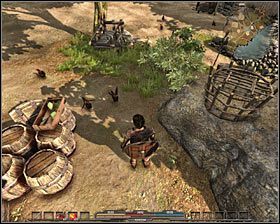 Kurczaki (neutralne) - Bestiariusz (1) | Świat gry w Arcania Gothic 4 - Arcania: Gothic 4 - poradnik do gry