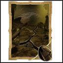Ziemia - Karty w Two Worlds II | Magia - Two Worlds II - poradnik do gry