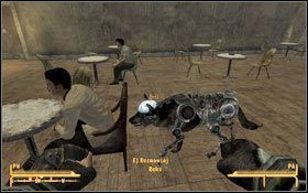 1 - Tylko pies tropiący | Zadania poboczne | Solucja Fallout New Vegas - Fallout: New Vegas - poradnik do gry