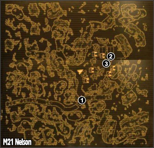 1 - M21 - Nelson | Mapy Fallout New Vegas - Fallout: New Vegas - poradnik do gry