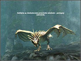 Trzecia konfrontacja będzie zdecydowanie najłatwiejszą do ukończenia, pomimo obecności smoków - Konfrontacja (7)- Ciemne jaskinie | Opis przejścia - Harry Potter i Insygnia Śmierci - część 1 - poradnik do gry