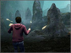 2 - Konfrontacja (7)- Ciemne jaskinie | Opis przejścia - Harry Potter i Insygnia Śmierci - część 1 - poradnik do gry