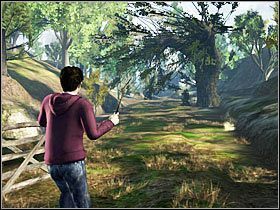 Po powrocie do zapory z kamieni, niszczymy ją i kontynuujemy przygodę - Misja 9- Zemsta goblina (2) | Opis przejścia Harry Potter i Insygnia Śmierci - Harry Potter i Insygnia Śmierci - część 1 - poradnik do gry