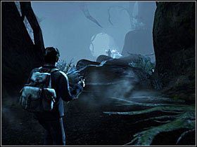 W ten sposób dotrzesz do jaskini, gdzie zaatakowany zostaniesz przez samotnego maga - Konfrontacja (11)- Akromantula | Opis przejścia Harry Potter i Insygnia Śmierci - Harry Potter i Insygnia Śmierci - część 1 - poradnik do gry