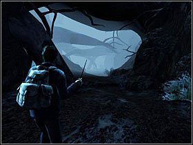 4 - Konfrontacja (11)- Akromantula | Opis przejścia Harry Potter i Insygnia Śmierci - Harry Potter i Insygnia Śmierci - część 1 - poradnik do gry