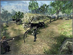 Po przejściu przez rzekę dotrzesz do miejsca z rozwidleniem dróg - Misja 18- Ksenofilius Lovegood (1) | Opis przejścia - Harry Potter i Insygnia Śmierci - część 1 - poradnik do gry