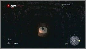 Idąc dalej po drewnianych deskach, dotrzesz do samego sklepienia [1] - Legowiska Romulusa (4) | Zadania poboczne | Assassins Creed Brotherhood - Assassins Creed: Brotherhood - poradnik do gry