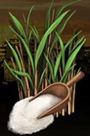 Koszt zakupu: 2500 peso - Kuba | Posiadłości (Properties) | Mafia Wars - Mafia Wars - poradnik do gry