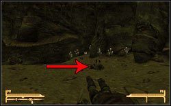 Toster Paladyna - Unikalne bronie (2) | Zestawienia w Fallout New Vegas - Fallout: New Vegas - poradnik do gry