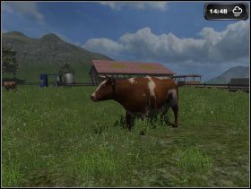 158 - Rozpoczęcie działalności | Hodowla bydła w Symulator Farmy 2011 - Symulator Farmy 2011 - poradnik do gry