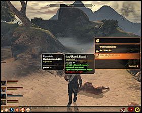Musisz się pilnować, bo w dalszej fazie walk do obozu może przybiec kolejny mag apostata #1 - Terror na Wybrzeżu | Questy poboczne - Akt 1 | Solucja Dragon Age II - Dragon Age II - poradnik do gry