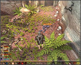 6 - Lustrzane odbicie (1) | Questy towarzyszy - Akt 2 | Solucja Dragon Age II - Dragon Age II - poradnik do gry