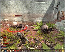 5 - Lustrzane odbicie (1) | Questy towarzyszy - Akt 2 | Solucja Dragon Age II - Dragon Age II - poradnik do gry