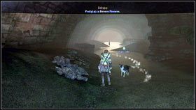 15 - Ruch oporu z Bowerstone | Opis przejścia Fable 3 - Fable III - poradnik do gry