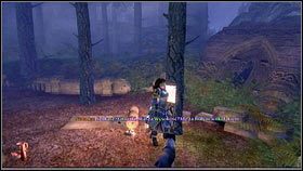 W poszukiwaniu złodzieja, ruszamy do Silverpines - Ciężar świata | Opis przejścia Fable 3 - Fable III - poradnik do gry