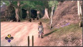Zabijamy wszystkie, a następnie zeskakujemy z zerwanego mostu do wody - Driftwood; Miasto Aurora | Zadania poboczne Fable 3 - Fable III - poradnik do gry