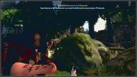 Idąc w kierunku Akademii będziesz przechodzić pod kamiennym mostkiem - Wioska Brightwall; Obóz mieszkańców | Gnomy w Fable 3 - Fable III - poradnik do gry