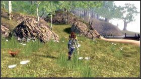1 - Driftwood; Mourningwood | Gnomy w Fable 3 - Fable III - poradnik do gry