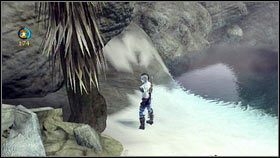 Biegnąc dalej, dojdziesz do palmy ogrodzonej balustradą [1] - Ruchome Piaski | Kwiaty z Aurory w Fable 3 - Fable III - poradnik do gry