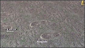 Odejdź od ciała zamordowanej kobiety i przyjrzyj się wyraźnie widocznym śladom opon #1, odblokowując tym samym kolejny ślad (Clue - Tire tracks) - Case 11 - The White Shoe Slaying (1) | Główne śledztwa w LA Noire - L.A. Noire - poradnik do gry