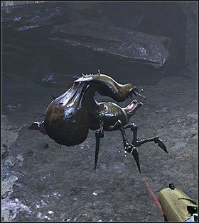 Pregnatory to zapładniacze obcych i zawsze występują w miejscach przez nich zainfekowanych - Normalni przeciwnicy | Wrogowie w Duke Nukem Forever - Duke Nukem Forever - poradnik do gry