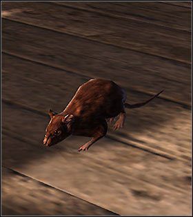 Normalnie nie groźne szczury stanowią zagrożenie tylko kiedy Duke jest pomniejszony - Normalni przeciwnicy | Wrogowie w Duke Nukem Forever - Duke Nukem Forever - poradnik do gry