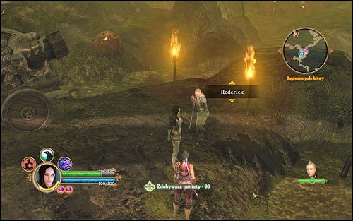 Warto wykonać zadanie Rodericka - i tak jest po drodze. - Zadanie poboczne - zagubieni na bagnach | Akt 2 | Dungeon Siege III - Dungeon Siege III - poradnik do gry
