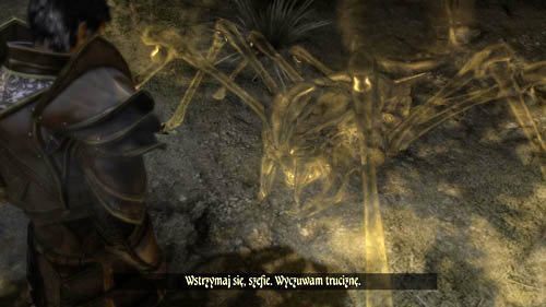 Twoim zadaniem jest dotrzeć do [7] - Podświadomość- Konflikt światopoglądowy - Two Worlds II: Pirates of The Flying Fortress - poradnik do gry