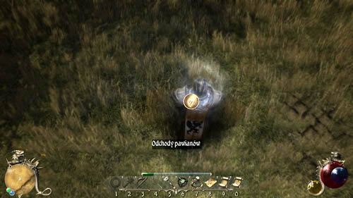 Po zebraniu wszystkich wracaj do Nanooka, który nadal jest w [9] - Podświadomość- Konflikt światopoglądowy - Two Worlds II: Pirates of The Flying Fortress - poradnik do gry