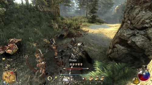 Czas odwiedzić małą wioskę wojowniczek - Piraci nie płaczą - Two Worlds II: Pirates of The Flying Fortress - poradnik do gry