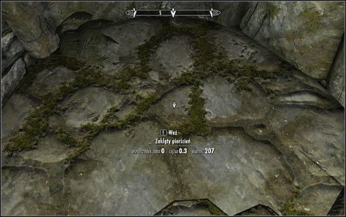 Zgodnie ze wskazówką Arniela udaj się na północ - W podziemiach Saarthal (1) | Questy poboczne w Skyrim - Skyrim - poradnik, mapy, questy