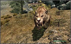 KOTY SZABLOZĘBNE - Bestiariusz | Skyrim Zestawienia - Skyrim - poradnik, mapy, questy