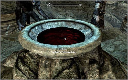 Rodzaj trofeum: brązowe - Trofea w Skyrim - Skyrim - poradnik, mapy, questy