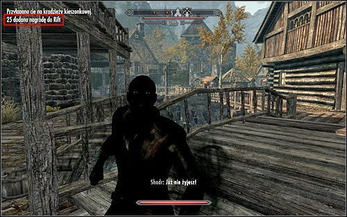 Rodzaj trofeum: brązowe - Trofea w Skyrim - Skyrim - poradnik, mapy, questy