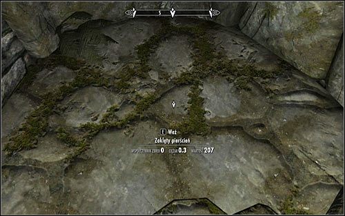 Zgodnie ze wskazówką Arniela udaj się na północ - W podziemiach Saarthal (1) | Questy Akademii w Zimowej Twierdzy | Solucja Skyrim - Skyrim - poradnik, mapy, questy