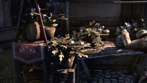 Znajdziesz tam kwiaciarza, który niestety nie będzie miał poszukiwanych przez ciebie tulipanów - Sekwencja 6 - Kaprys Fortuny (3-5) | Opis przejścia Assassins Creed Revelations - Assassins Creed: Revelations PC - kompletny poradnik do gry