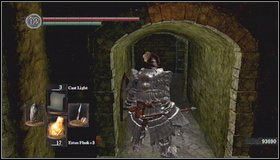 Przechodzimy przez pomieszczenie z wodą [1] i wspinamy się po drabinie - Undead Asylum | Opis przejścia Dark Souls - Dark Souls - poradnik do gry