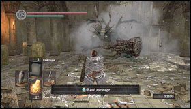 Teraz przechodzimy przez duże drzwi - Undead Asylum | Opis przejścia Dark Souls - Dark Souls - poradnik do gry