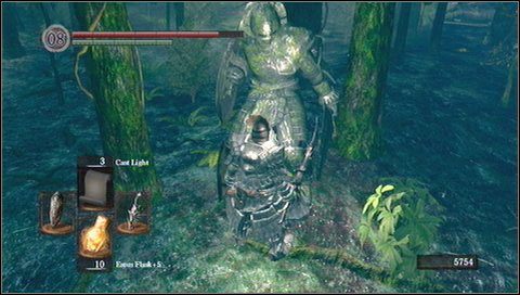 Z tej obszerniejszej lokacji możemy dojść do bossa Moonlight Butterfly - Darkroot Garden (1) | Opis przejścia Dark Souls - Dark Souls - poradnik do gry