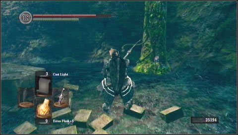 Zaglądamy do zakamarka z prawej, kilkadziesiąt metrów dalej - Darkroot Garden (2) | Opis przejścia Dark Souls - Dark Souls - poradnik do gry