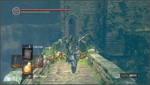 Na górze wieży znajdziemy Divine Ember, klucz do wieży Havela (Watchtower Basement Key) oraz kość - Darkroot Garden (2) | Opis przejścia Dark Souls - Dark Souls - poradnik do gry