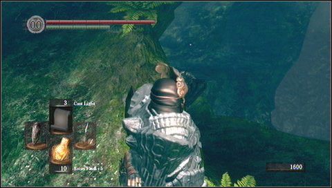 Poniżej znajdziemy przedmiot - tarczę Grass Crest Shield - Darkroot Basin | Opis przejścia Dark Souls - Dark Souls - poradnik do gry