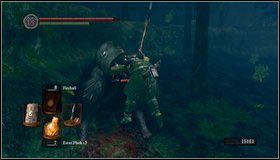 Walcząc z kotami staramy się skupić na jednym z nich - Darkroot Garden II | Opis przejścia Dark Souls - Dark Souls - poradnik do gry